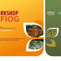 Workshop S.I.F.I.O.G. - icona-web.jpg