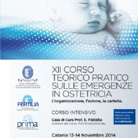 XII Corso Teorico Pratico sulle Emergenze in Ostetricia : l` organizzazione, l` azione, la cartella - xii_corso_emergenze-ico_13_14nov.jpg